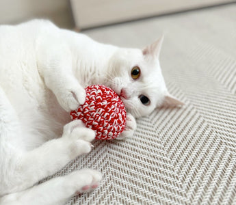 猫のストレスケアに。~レッドキャットボールができるまで~