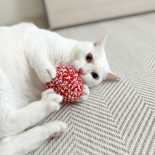 猫のストレスケアに。~レッドキャットボールができるまで~