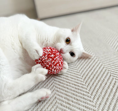 猫のストレスケアに。~レッドキャットボールができるまで~