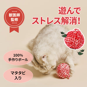 レッドキャットボール：マタタビ入りおもちゃ