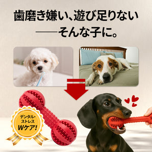 デンタルトイ：噛むおもちゃ、小型・中型犬用
