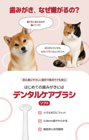 デンタルケアブラシ（ソフト毛）