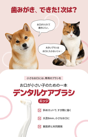デンタルケアブラシ（エッジ毛）