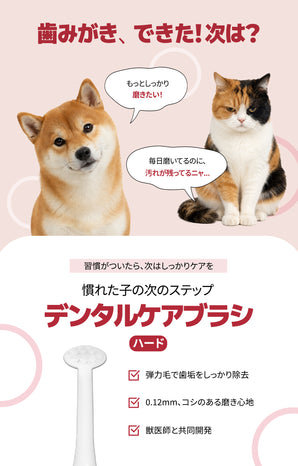 デンタルケアブラシ（硬毛）