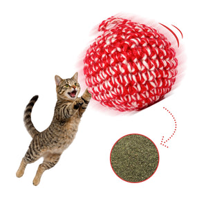 レッドキャットボール